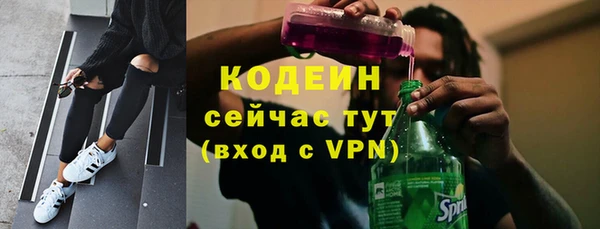 твердый Вяземский