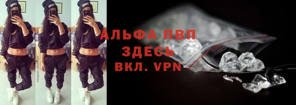 твердый Вяземский