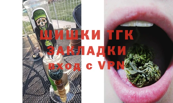твердый Вяземский