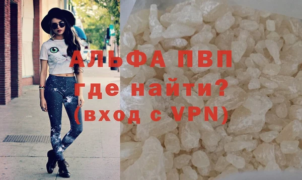 твердый Вяземский