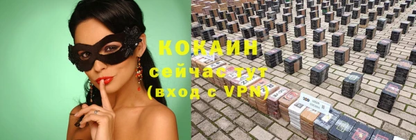 твердый Вяземский