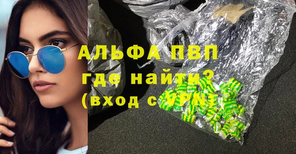 твердый Вяземский