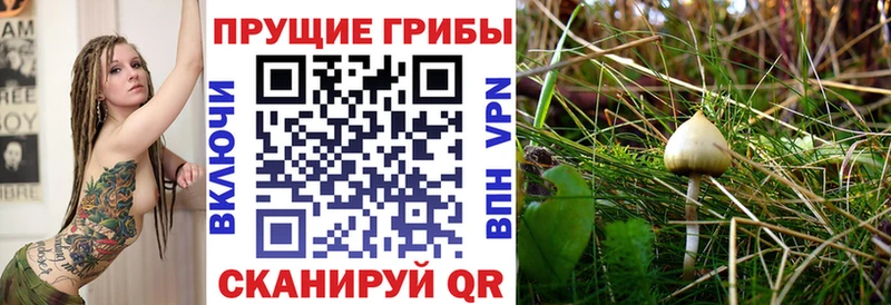 Галлюциногенные грибы ЛСД  Купить  Мамадыш 